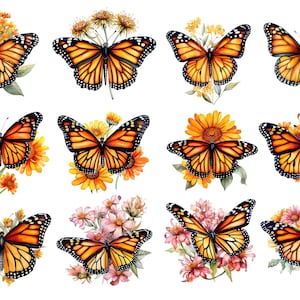May include: Twelve watercolor illustrations of monarch butterflies with yellow and orange wings. Each butterfly is surrounded by yellow and orange flowers.