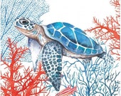 Decoupage Napkins, Sea Turtle Paper Napkins, 10 quot x 10 quot unfolded
