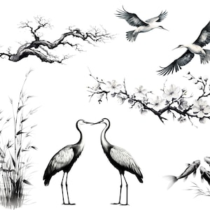 May include: Black and white ink illustration of two cranes facing each other, a branch of a flowering tree, a branch of a bare tree, a cluster of reeds, and two fish swimming in a pond.