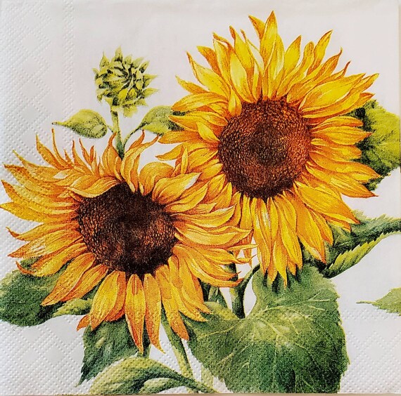 Sunflower paper napkins best sale