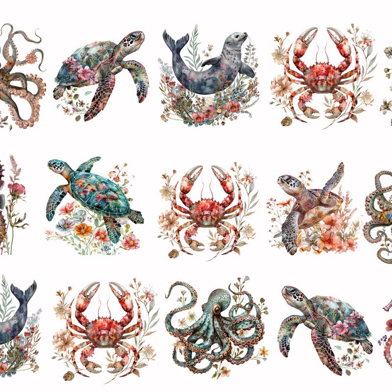 Rice With Shells - Etsy