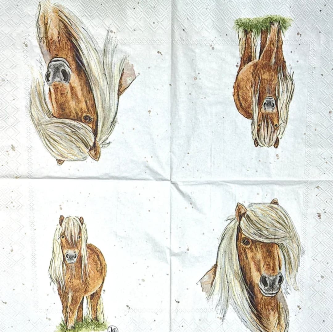 Decoupage Napkins Horse Paper Napkins Set of 3 Luncheon Size Etsy