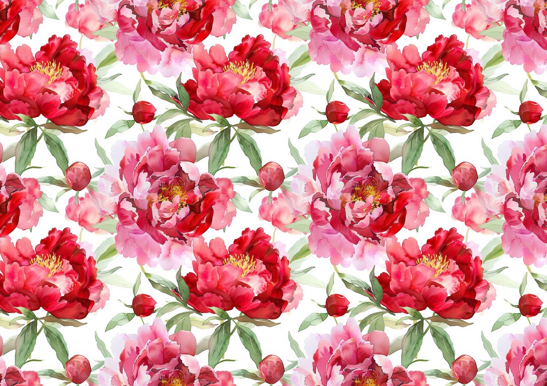 Rice Paper for Decoupage / Rose Roses Peony Floral Pink Red / 1 Rice ...