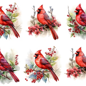 May include: A collection of six watercolour illustrations featuring bright red northern cardinal birds perched on branches. Each bird is depicted with a black face mask, vibrant red plumage, and long tail feathers, surrounded by red berries and green foliage.