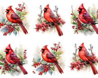 Rice Paper for Decoupage / Christmas Cardinal Bird Birds / 1 Rice Paper / A4 / A5 / Customizable