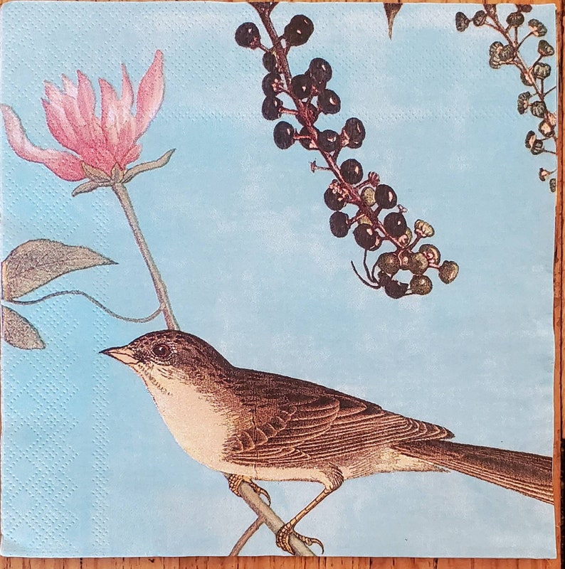 WhiteFoxFinds Bird Paper Napkins - Thumbnail 2