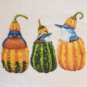 May include: Three gourds with bird faces and blue and white hats. The gourds are orange and yellow with green stripes. The birds are sitting inside the gourds.