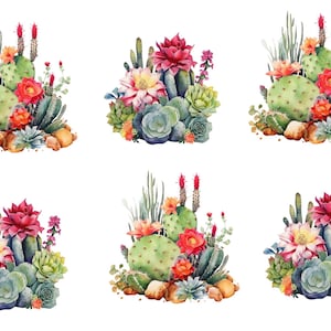 May include: A collection of six watercolor illustrations featuring various arrangements of green cacti and succulents. Each cluster includes vibrant red, pink, and orange blooming flowers, along with small brown rocks at the base of the plants.