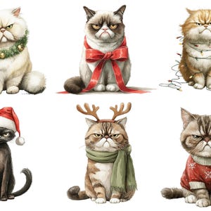 May include: Six watercolor illustrations of grumpy cats in festive attire. One cat wears a Christmas wreath, another a red bow, and a third is tangled in lights. Other cats sport a Santa hat, reindeer antlers, and a snowflake sweater.