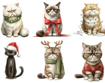 Rice Paper for Decoupage / Cat Cats Funny Christmas / 1 Rice Paper / A4 / A5 / Customizable