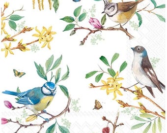 Decoupage Napkins- Birds & Branches Spring Flower Napkins- Set of 3 - Luncheon Size