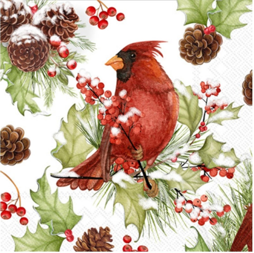 Decoupage Napkins Cardinal Bird Paper Napkins Set of 3 Cocktail Size Etsy