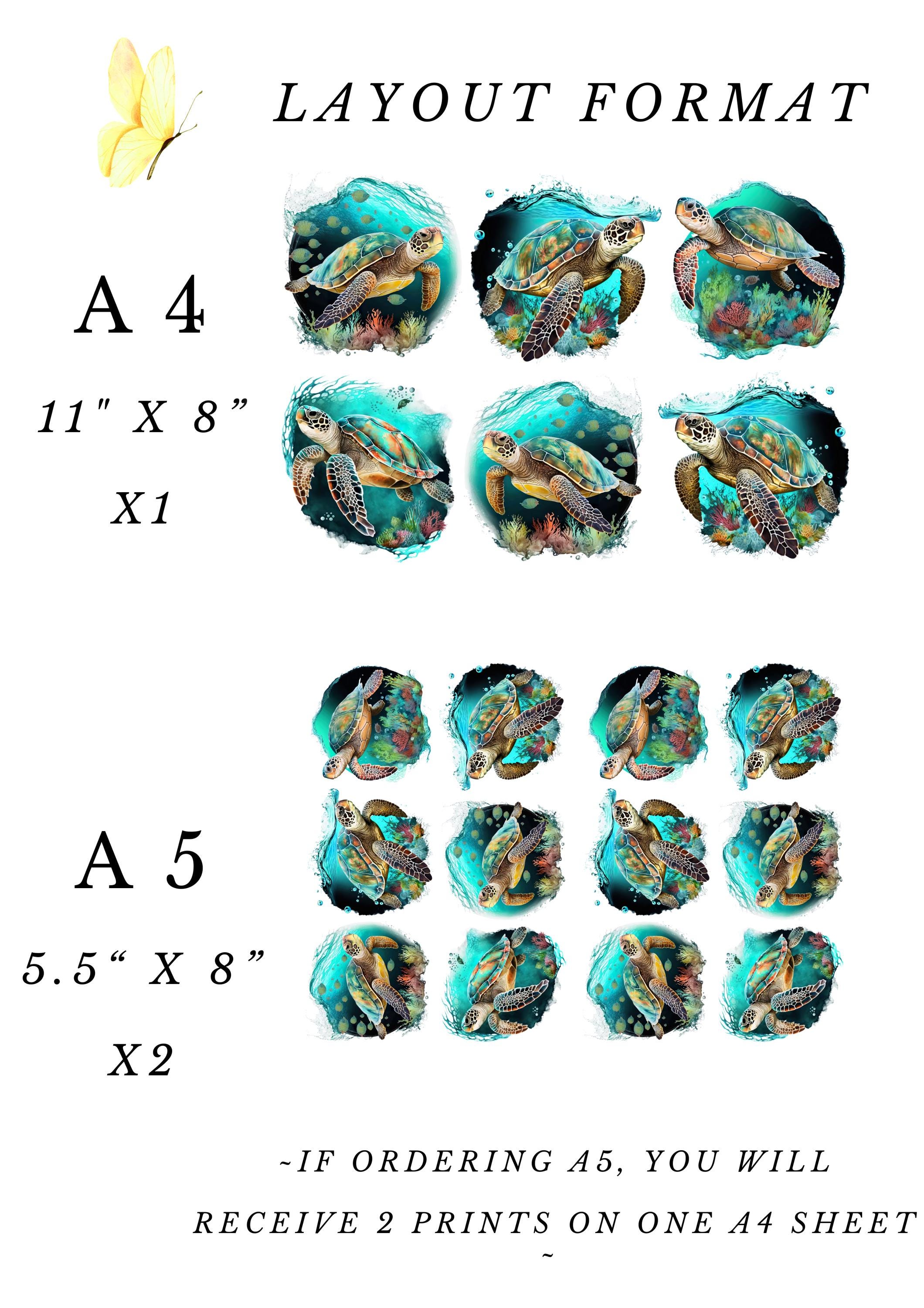 Rice Paper for Decoupage / Sea Turtle Turtles Beach Ocean Tropical / 1 ...