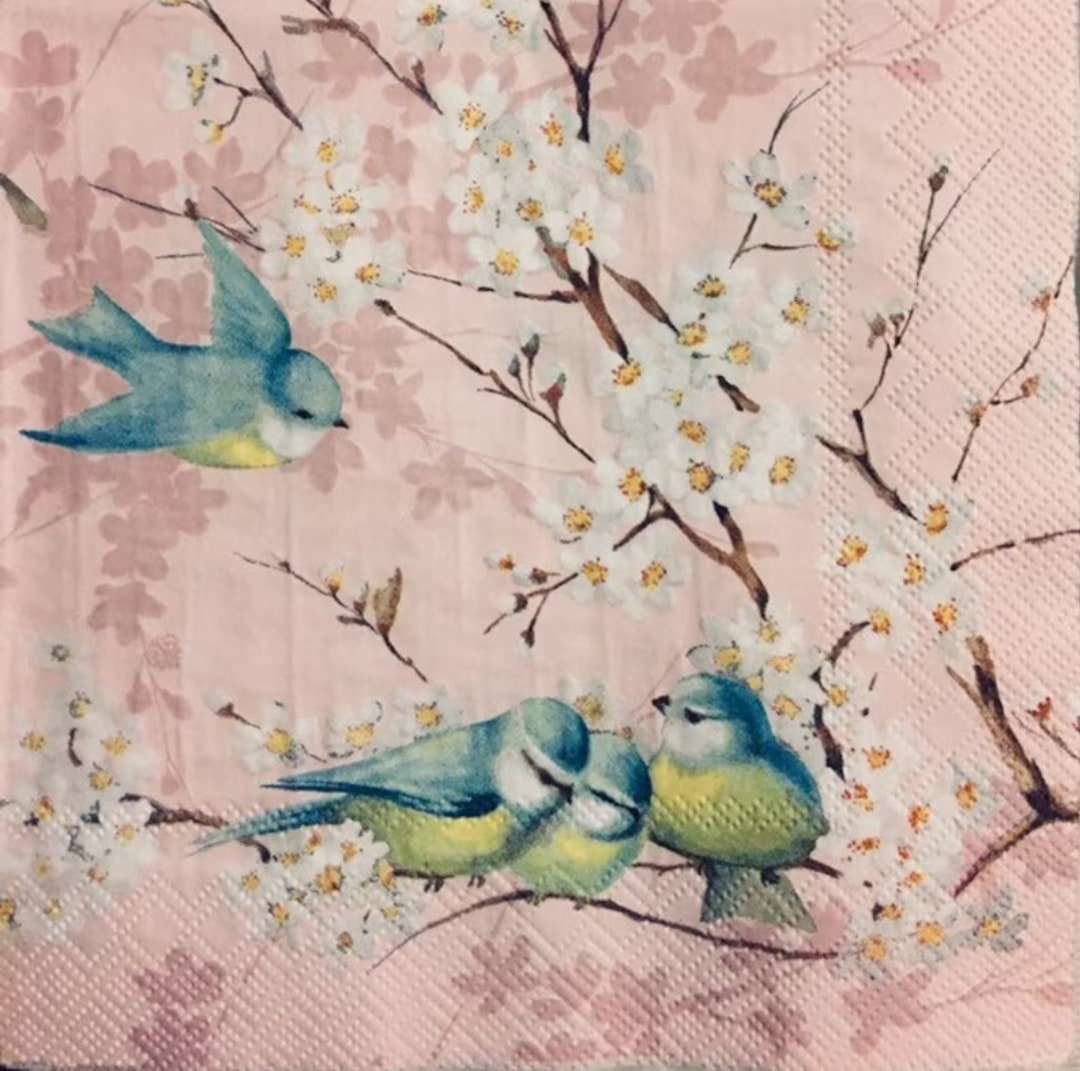 Decoupage Napkins Bird Paper Napkins Set of 3 Cocktail Size Etsy