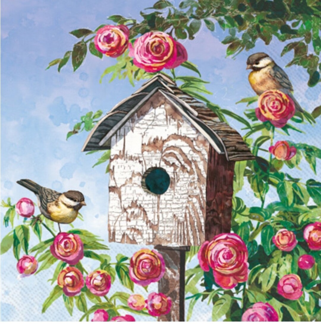 Decoupage Napkins Bird Birdhouse Paper Napkins Set of 3 Cocktail Size