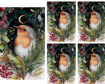 Rice Paper for Decoupage / Christmas Robin Birds Winter Bird / 1 Rice Paper / A4 / A5 / Customizable