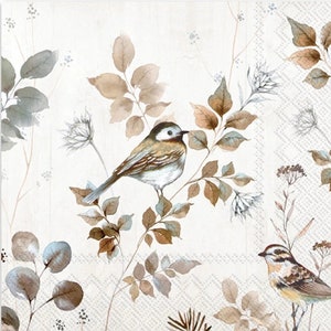 Decoupage Napkins- Bird Woodland Neutral Brown Gray  Paper Napkins- Set of 3- Cocktail Size