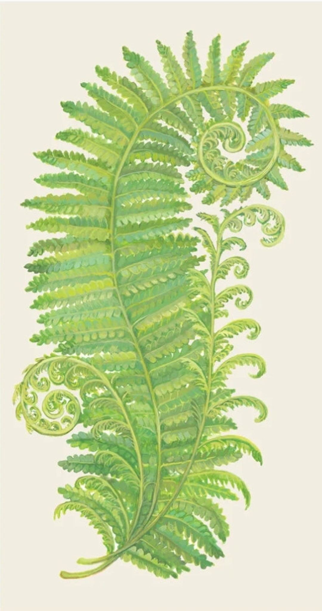 Decoupage Napkins Fern Leaf Paper Napkins Set of 2 Guest Etsy