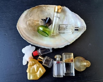 Puede incluir: Una colección de frascos de perfume en miniatura de varias formas y colores, incluyendo transparente, verde y dorado, están dispuestos en una gran concha marina blanquecina. Los frascos se exhiben sobre una superficie azul oscuro.