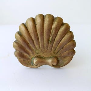 May include: An antique brass seashell-shaped cabinet knob. The knob has a textured surface with a warm, golden-brown colour and subtle green patina. The design features radiating lines and a decorative, scrolled base.