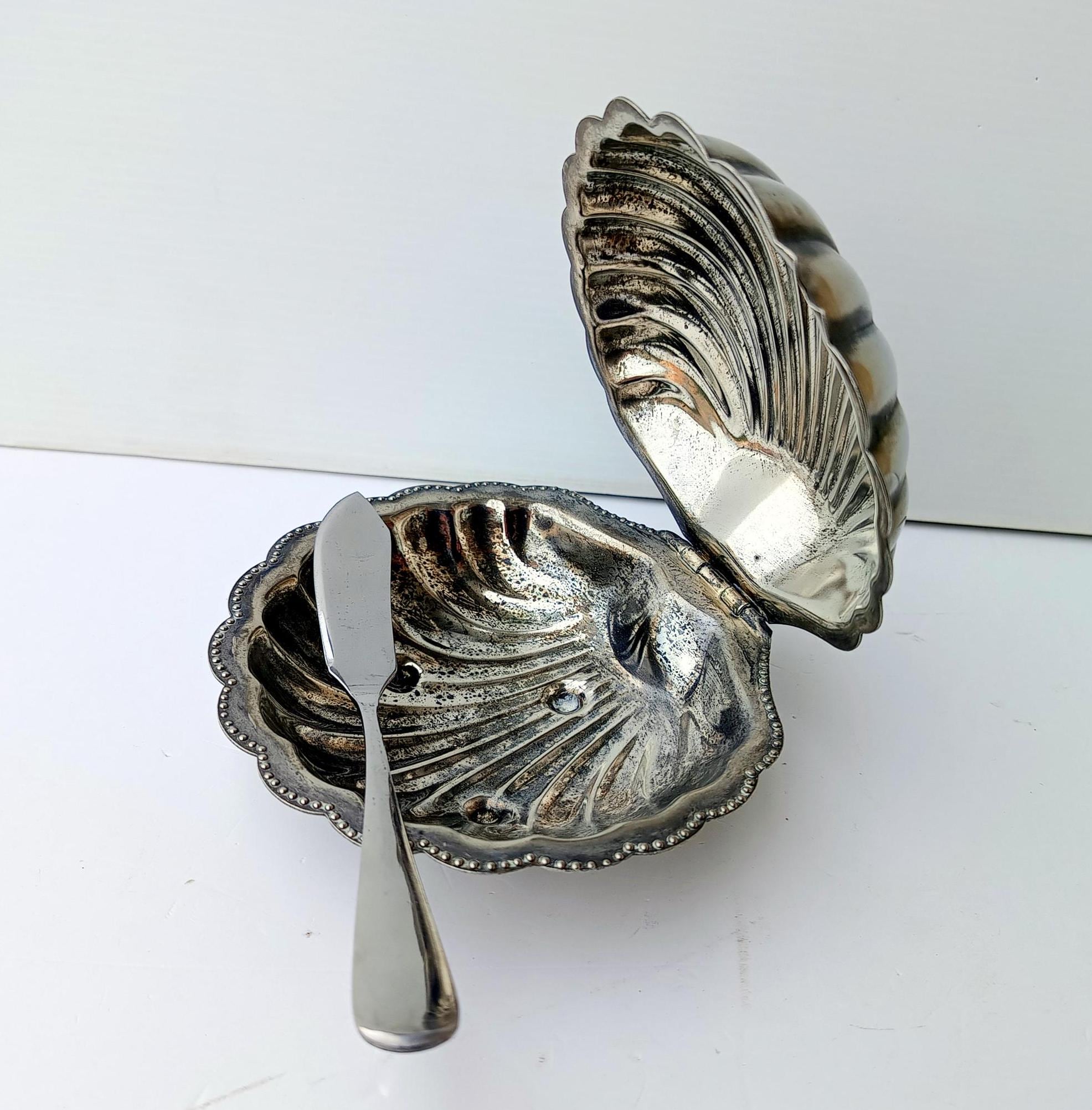Seashell butter dish - Etsy 日本