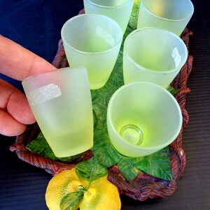 Vintage Italy Rare 6 Limoncello Shot Glasses Service Resin - Etsy