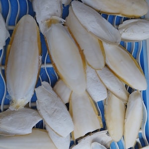 Op de afbeelding: Een bovenaanzicht toont talrijke sepia-botten, die hun langwerpige, bootachtige vormen laten zien. De botten zijn voornamelijk wit met een geelbruine rand, gerangschikt op een blauw-wit rooster. De compositie benadrukt de natuurlijke textuur en vorm van het mariene product.