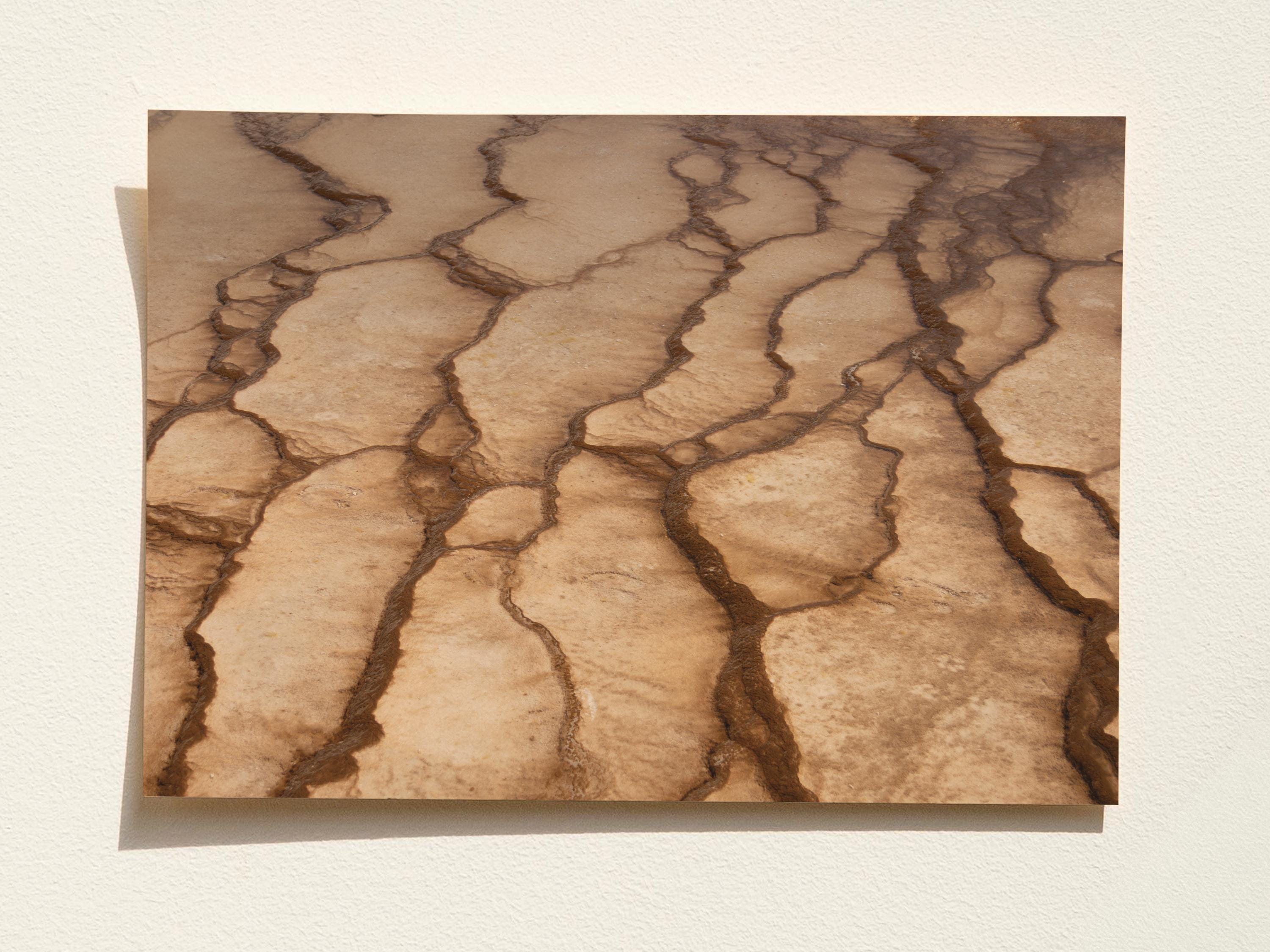 Abstract Earth Texture Natural Landscape Art Print | Minimalist Wall ...
