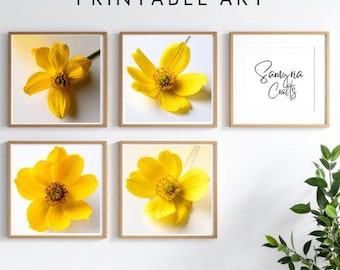 Yellow Flower Wall Art Prints (Set of 4) - Botanical Square Digital Download
