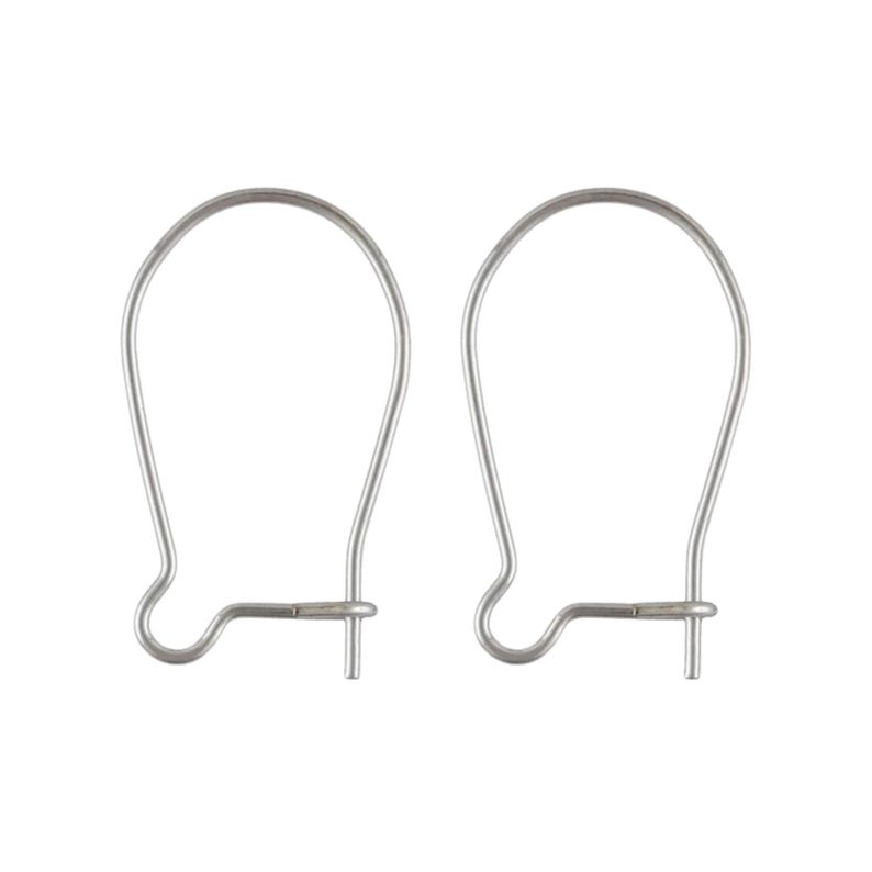 Peut inclure: Deux crochets de boucles d'oreilles argent&eacute;s. Chaque crochet a un dessus incurv&eacute; et un bas en boucle avec une tige droite. Les crochets sont en m&eacute;tal fin et brillant, sur fond blanc.