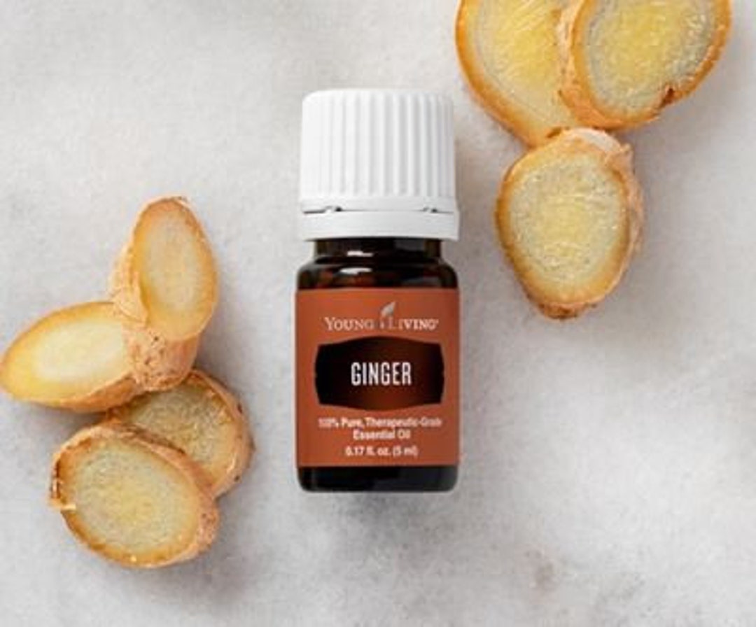 Ginger Essential Oil by Young Living Etsy