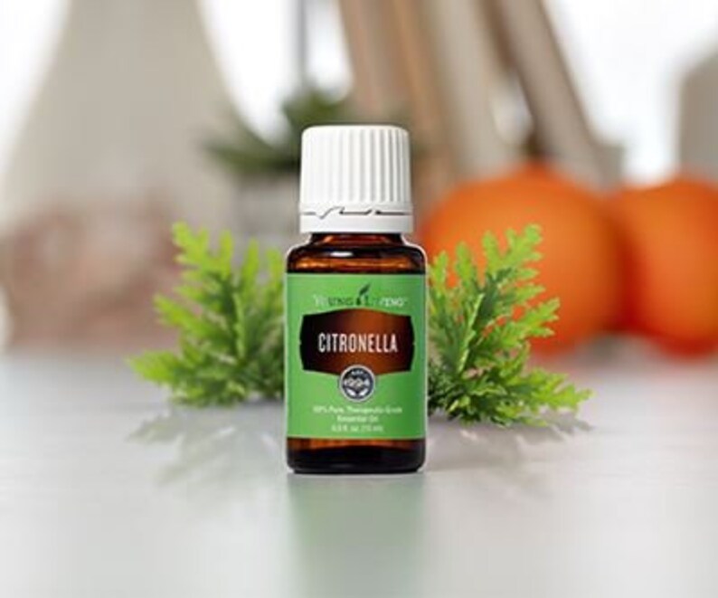 Citronella Essential Oil by Young Living Etsy