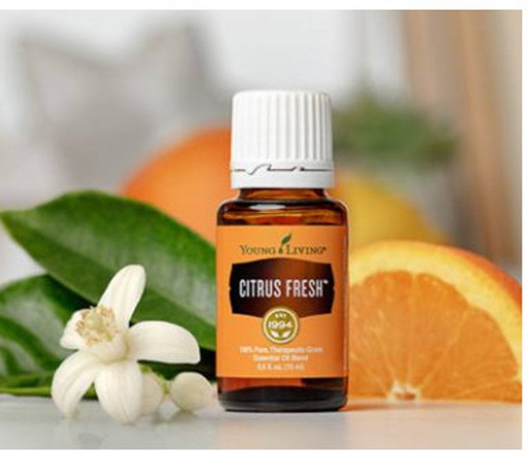Citrus Fresh Essential Oil Blend by Young Living Etsy Nederland