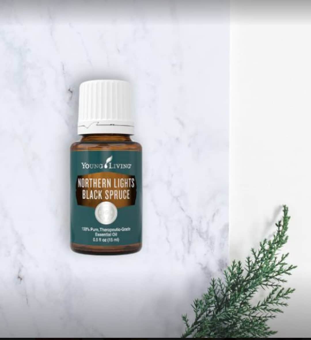 Northern Lights Black Spruce Essential Oil by Young Living - Etsy