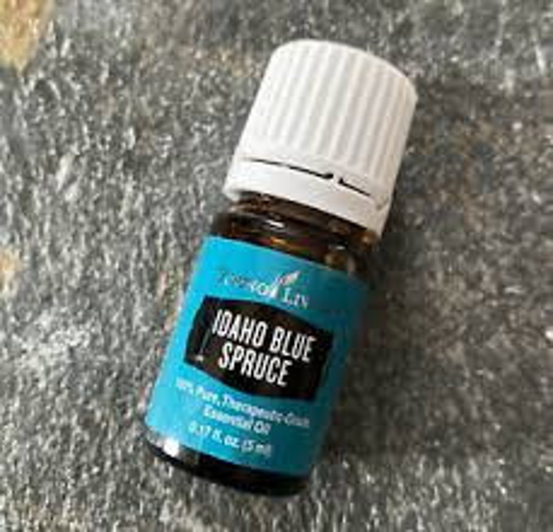 Idaho Blue Spruce Essential Oil by Young Living Etsy Nederland
