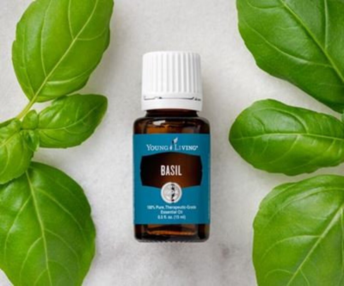 Basil Essential Oil by Young Living Etsy