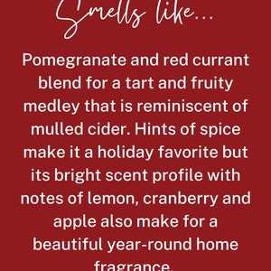 Pomegranate Reed Diffuser Pomegranate and Red Currant Scent Holiday Cheer Scent Flameless Home Fragrance Christmas Gift zdjęcie 3