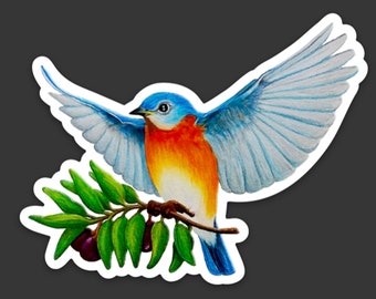 Bluebird of Happiness & Olive Branch Sticker Decal, Original Art Sticker Eastern Bluebird White Vinyl Decal, Gift for Bird Lovers, Left Face