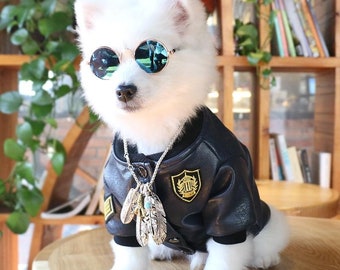 tiny dog sunglasses