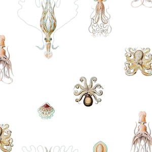 Octopus Wallpaper: Ernst Haeckel Inspired Removable Wall Decoration