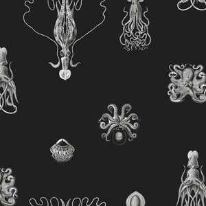 Puede incluir: Una ilustración en blanco y negro de varias criaturas marinas, incluyendo calamares, pulpos y medusas. La ilustración está sobre un fondo negro.