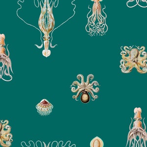 Consortium Octopus Wallpaper Caribbean Deep +All colors|removable wall decoration|EcoSmooth Unpasted|removable wallpaper MADE IN USA