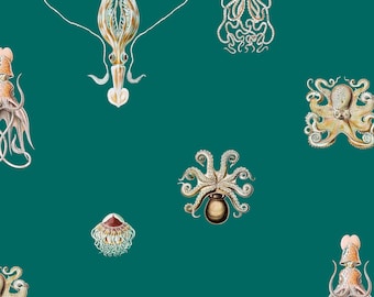 Csortium Octopus Tapete Caribbean Deep +Alle Farben|abnehmbare Wanddekoration|EcoSmooth Unpasted|abnehmbare Tapete MADE IN USA