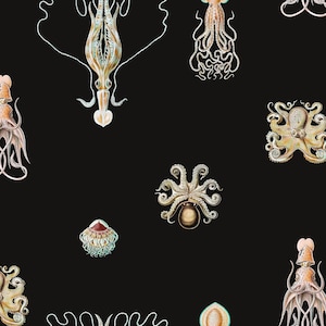 Octopus Wallpaper: Consortium Noctaluca, EcoSmooth Unpasted, Removable Wall Decoration