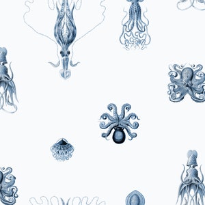 Octopus Wallpaper: Nantucket Blue Removable Wall Decoration, EcoSmooth Unpasted