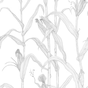 May include: A black and white line drawing of corn stalks with ears of corn. The drawing is on a white background.