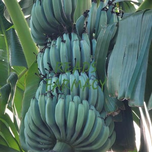 May include: A set of three ceramic mugs with a speckled, matte finish. The mugs are in shades of cream, light gray, and dark gray. Each mug has a simple, minimalist design, perfect for coffee or tea.