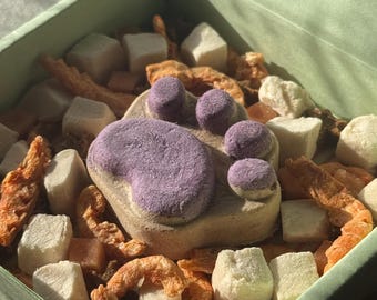 Caja de premios para gatos sin cereales • Selección de snacks liofilizados aptos para gatitos • Regalo de cumpleaños para gatos sin hierba gatera