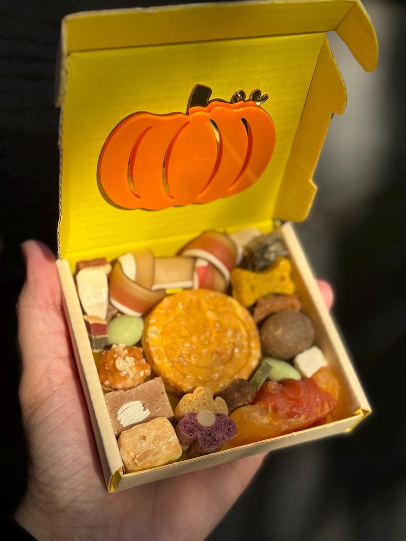 May include: A yellow cardboard box with an orange pumpkin cutout on the lid, filled with a variety of dog treats. The treats include chews, biscuits, and other snacks in various shapes and colors. The box is held open.