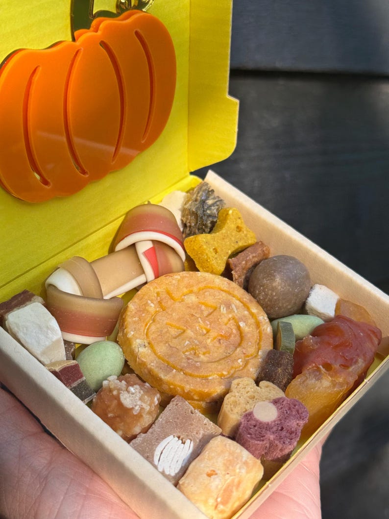 May include: A wooden box filled with assorted dog treats. The treats include a large round biscuit with a jack-o'-lantern face, bone-shaped biscuits, and other colorful, textured snacks. An orange pumpkin charm is attached to the box.